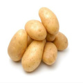 Продажа высококачественного сырого свежего картофеля по заводской цене